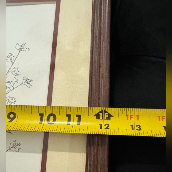 Vintage Framed Botanical Ink Pen Illustration Milk Thistle & Leaves MCM Unique - Picture 9 of 10